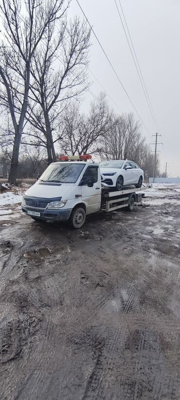 С лебедкой, Со сдвижной платформой, С прямой платформой