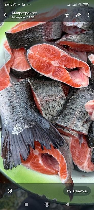 малёк рыба: СРОЧНО❗ Форель только ОПТОМ,вкус и качество всё супер,нигде не — 4