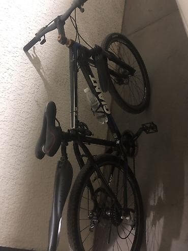 whey протеин: Горный велосипед, Giant, Алюминий — 1