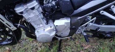 мустанг лошадь цена: Классический мотоцикл Suzuki, 650 куб. см, Бензин, Взрослый, Б/у — 8