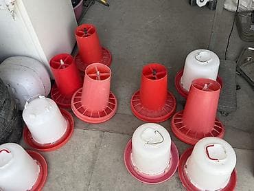 куры бройлеры: Кормушки и поилки для птицы (кур, индюшек, уток) - Тип: бункерные — 1