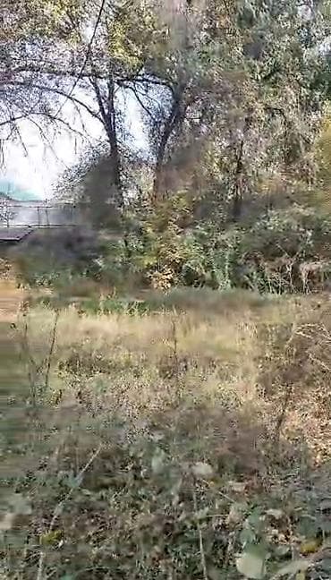 Продажа участков: 16 соток, Красная книга, Тех паспорт — 5