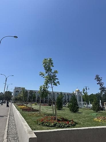 озеленение бишкек: В самом центре кв по суточно сдается — 2