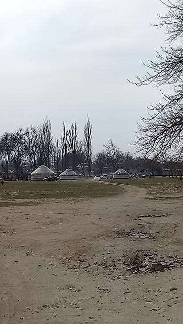 монета манас: Чолпон ата Босстериден жумуш издейм посудага — 1