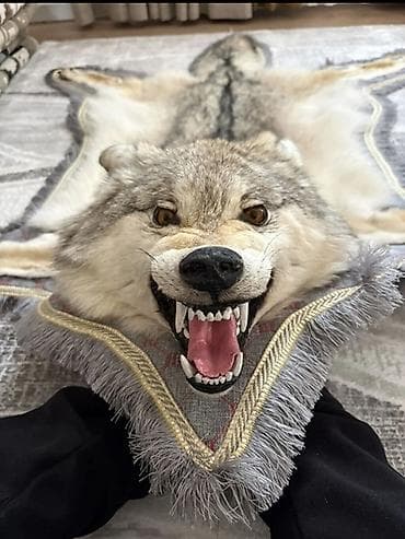 Ковер Настенный, Шкура at lalafo.kg Ковер Настенный, Шкура