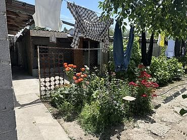 Недвижимость: Продаётся жилой дом с приусадебным участком. - Участок: просторный — 5