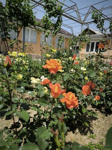 дом район ак орго: Үй, 1441 м², 8 бөлмө — 41