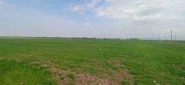 чалдовар продажа домов: 16000 соток, Для сельского хозяйства, Красная книга — 1