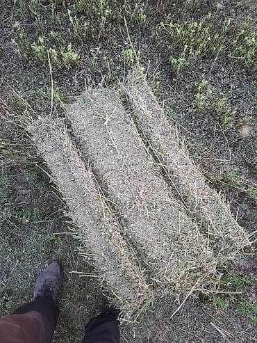 Сено в тюках - Прессованное луговое сено в компактных прямоугольных