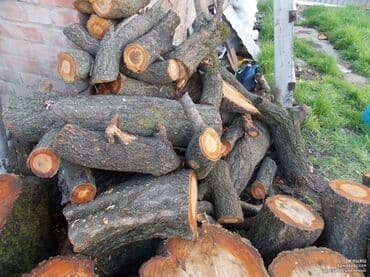 Дрова Самовывоз