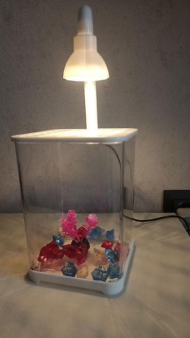 коралловый диск: Компактный настольный аквариум с LED‑подсветкой - Прозрачный — 2