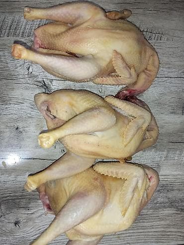 цыпа: Домашняя тушка цыплёнка- (целая, потрошённая) оптом и в розницу - — 2