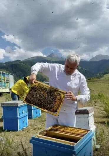 баночки для меда бишкек: Продаем мёд крупным и мелком оптом от производителя. Горный мёд — 4