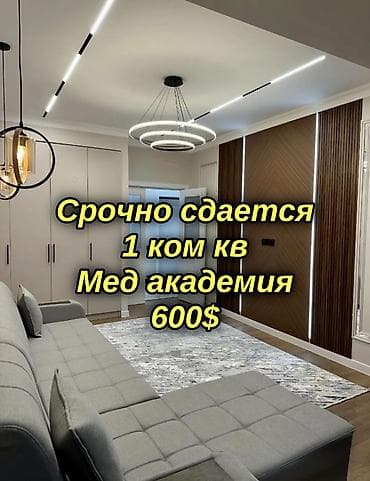 1 комната, Мед Академия Агентство недвижимости, Без животных, от 6 месяцев, от 1 года, С мебелью полностью