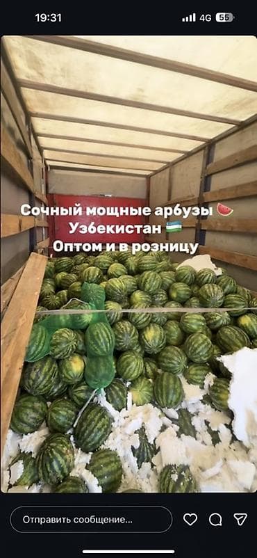 Арбузы
