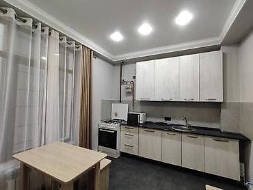 80000: 1 комната, 45 м², Элитка, 9 этаж, Евроремонт — 3