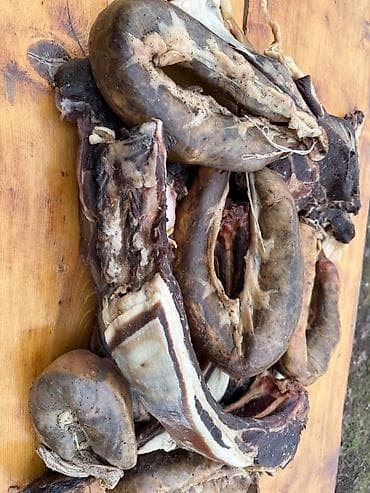 для мяса: Табыгый шартта, ата-бабаларыбыздан калган ыкма менен сүрсүтүлгөн — 1