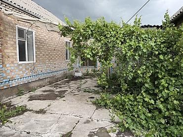 Дома: Продаётся кирпичный дом с внутренним двором и виноградной аркой.дом из — 1