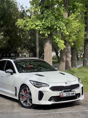 мотор на сапок: Kia Stinger: 2019 г., 2 л, Автомат, Бензин, Лифтбек — 8