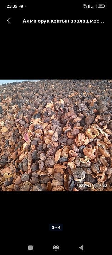 Жер-жемиштер: Смесь сушёных фруктов: яблоки и абрикосы (урюк/кайса). - Натуральная — 1