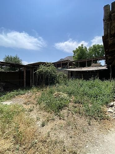 osh hostel: 14 соток, Для бизнеса, Красная книга, Тех паспорт, Договор купли-продажи — 5