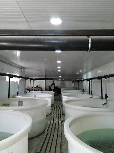 швейные станки: С оборудованием, Действующий, 300 м² — 5