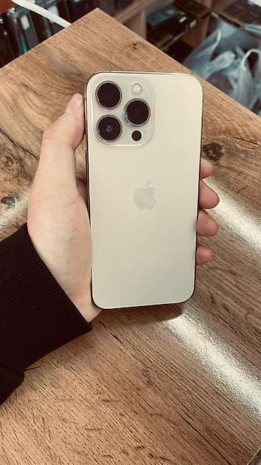 IPhone 13 Pro, Natural Titanium