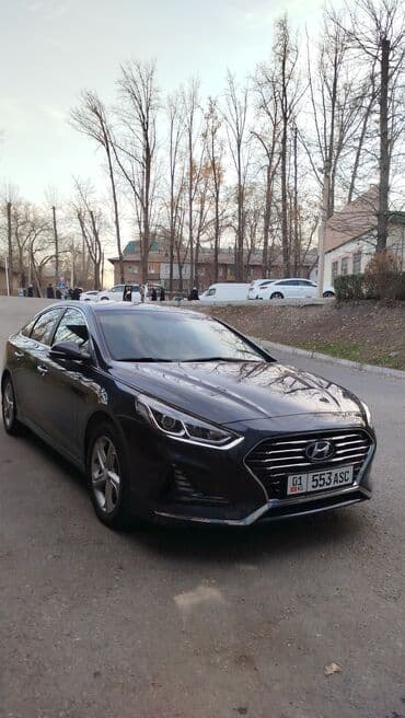 капот на аккорд: Hyundai Sonata: 2018 г., 2 л, Автомат, Газ, Седан — 17