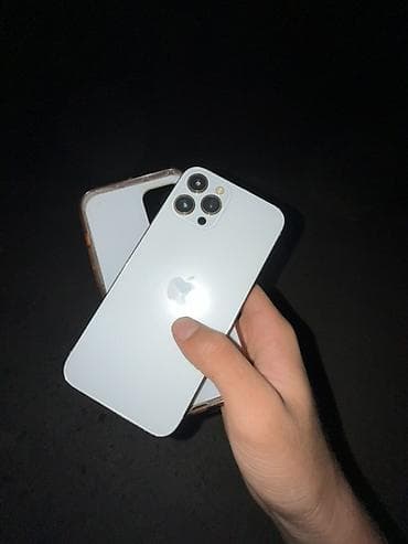 IPhone 12 Pro Max, 128 ГБ, цвет Silver Характеристики и детали по