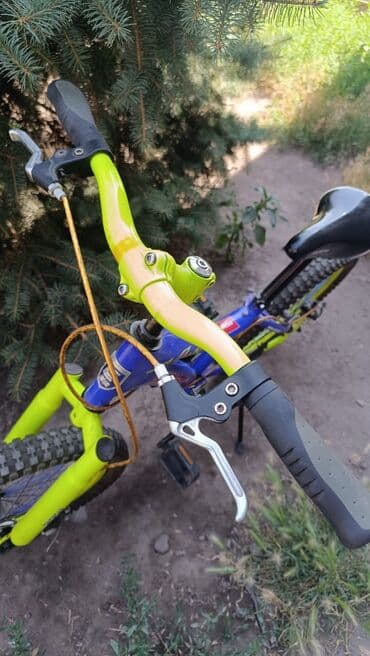 рейтинг детских велосипедов от 5 лет: Детский велосипед, 2-колесный, 6 - 9 лет, Б/у — 5