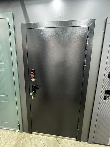 hi tech: Двери для домов и квартир, Металлическая, Одностворчатая, цвет - Черный — 1