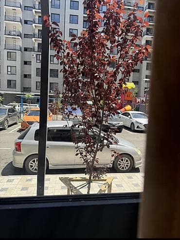 1 комната, 42 м², Технопарк Элитка, 1 этаж, Евроремонт — 8