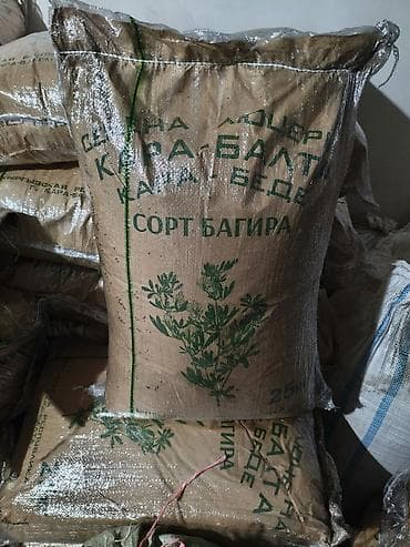 Семена кормовых растений: Люцерна