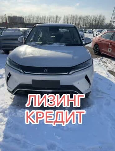 BYD Yuan Up: 2025 г., Электромобиль, Кроссовер