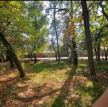 open space: 3 соток, Для строительства, Красная книга, Тех паспорт, Договор купли-продажи — 8