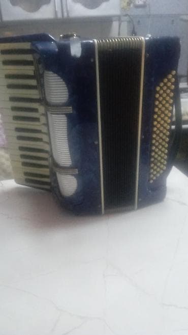 комуз для детей: Акардеон, синий перламутровый корпус. Клавиатурная сторона — — 1