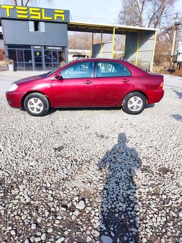цены на машины бишкек: Toyota Corolla: 2005 г., 1.6 л, Автомат, Бензиновая, Седан — 2