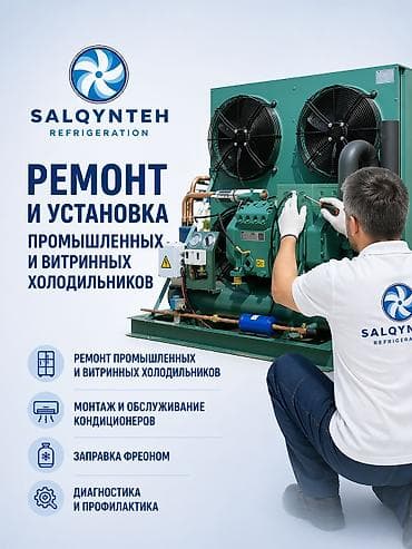 ветриный холодильник: Профессиональные услуги по работе с холодильным и климатическим — 1