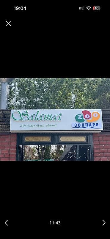 печать на кружках бишкек инстаграм: | Вывески, Лайтбоксы, Таблички, | Монтаж, Демонтаж, Разработка дизайна — 7