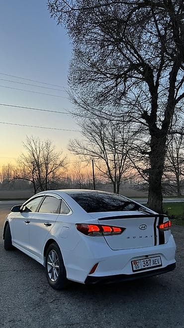 каврик: Hyundai Sonata: 2018 г., 2 л, Автомат, Газ, Седан — 6