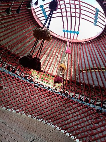 Юрта кыргыз Боз уй сатылат 6 канат 85 баш абалы жакшы баасы 250 000мин — 5