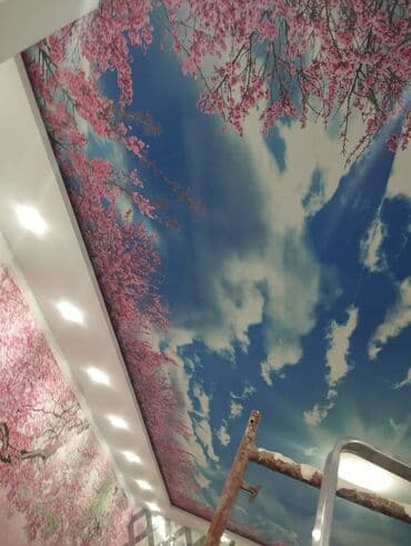 потолок пластик: Натяжной потолок Глянцевое, Матовое, 3D потолки Гарантия, Бесплатная консультация, Бесплатный замер — 27