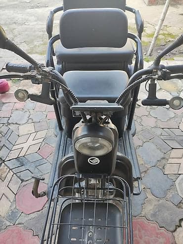 changan eado plus: Электрический трёхколёсный скутер BAOGE с двумя пассажирскими — 4