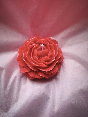 форма на 9 мая: Декоративные свечи в форме пионов Нежно-розовая и молочно-белая — 4