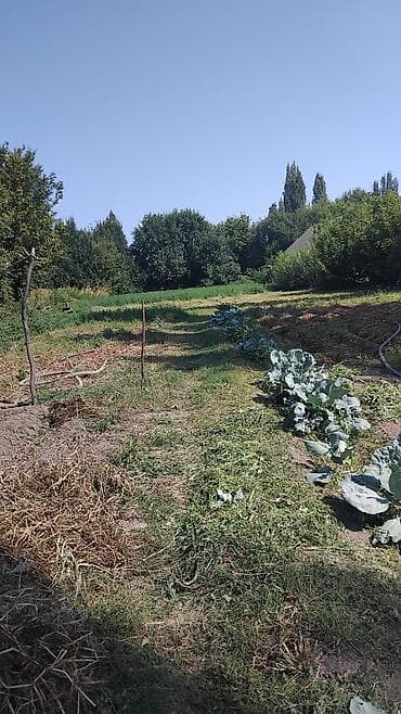 участок в покровке: 18 соток, Для сельского хозяйства — 2