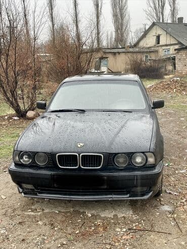 BMW 5 series: 1993 г., 3 л, Механика, Бензин, Седан