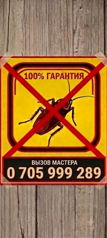 construction work: Дезинфекция, дезинсекция, | Клопы, Блохи, Тараканы, | Транспорт, Офисы, Квартиры — 2