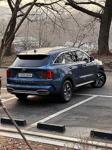 sorento: Kia Sorento: 2020 г., Гибрид — 4