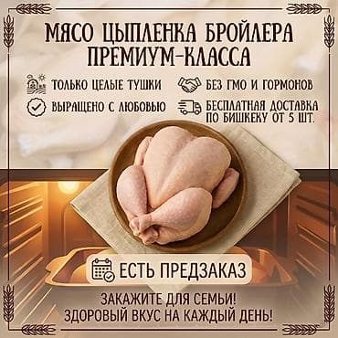 куриный угалок: 🐔 НАШИ БРОЙЛЕРЫ — ЭТО ЛЮБОВЬ В КАЖДОМ КУСОЧКЕ! 😋 Забудьте про сухую — 3