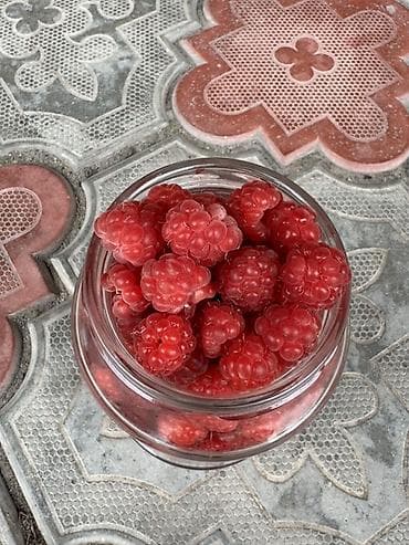Малина Чекене